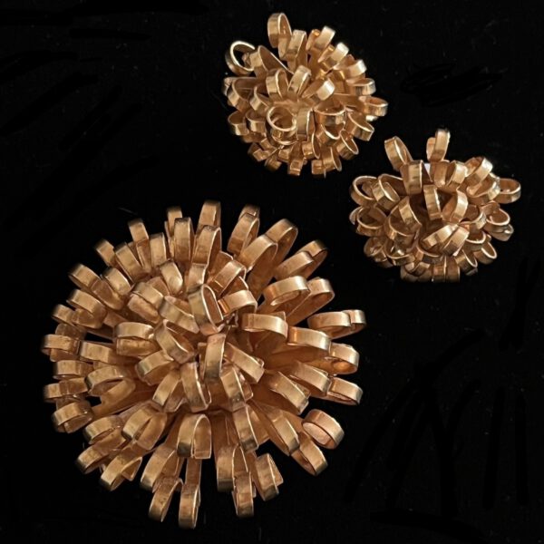 Goldfarbene Brosche und Clips